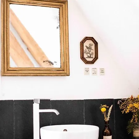Bed & Breakfast Maison Seraphine - -