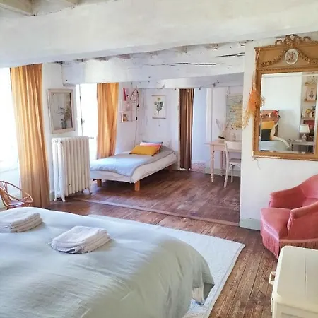 Maison Seraphine - - 3* لووْ