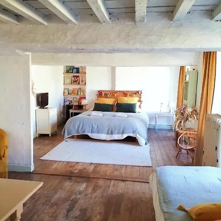 Bed & Breakfast Maison Seraphine - -